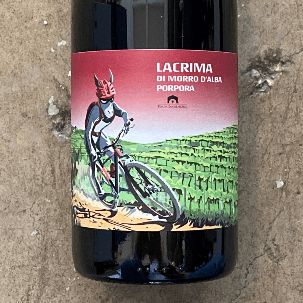 Tenuta San Marcello, Lacrima di Morro d'Alba Porpora 2021, 750 ML