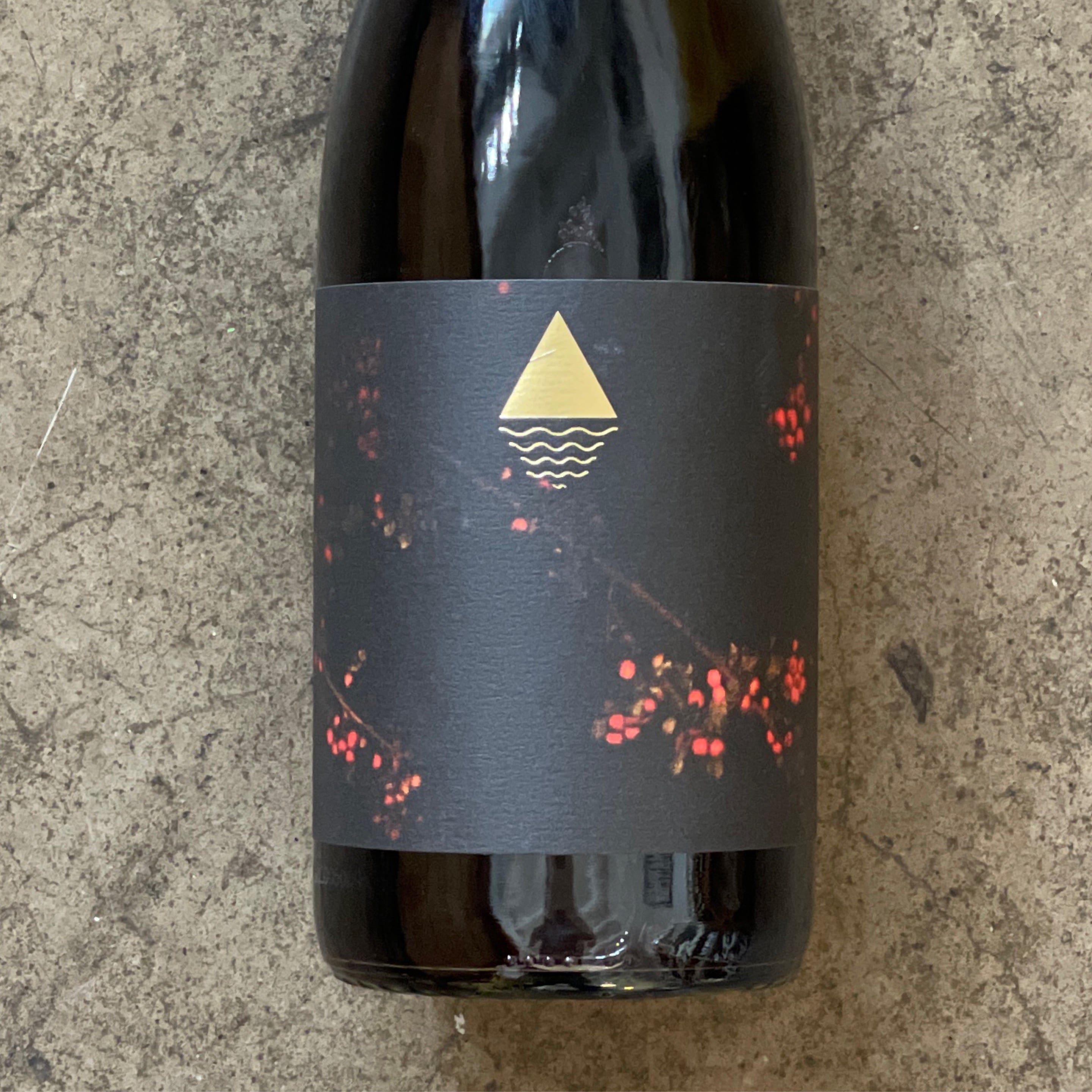 Mountain Tides Wine, Partial Carbonic Petite Sirah 2018, 750mL