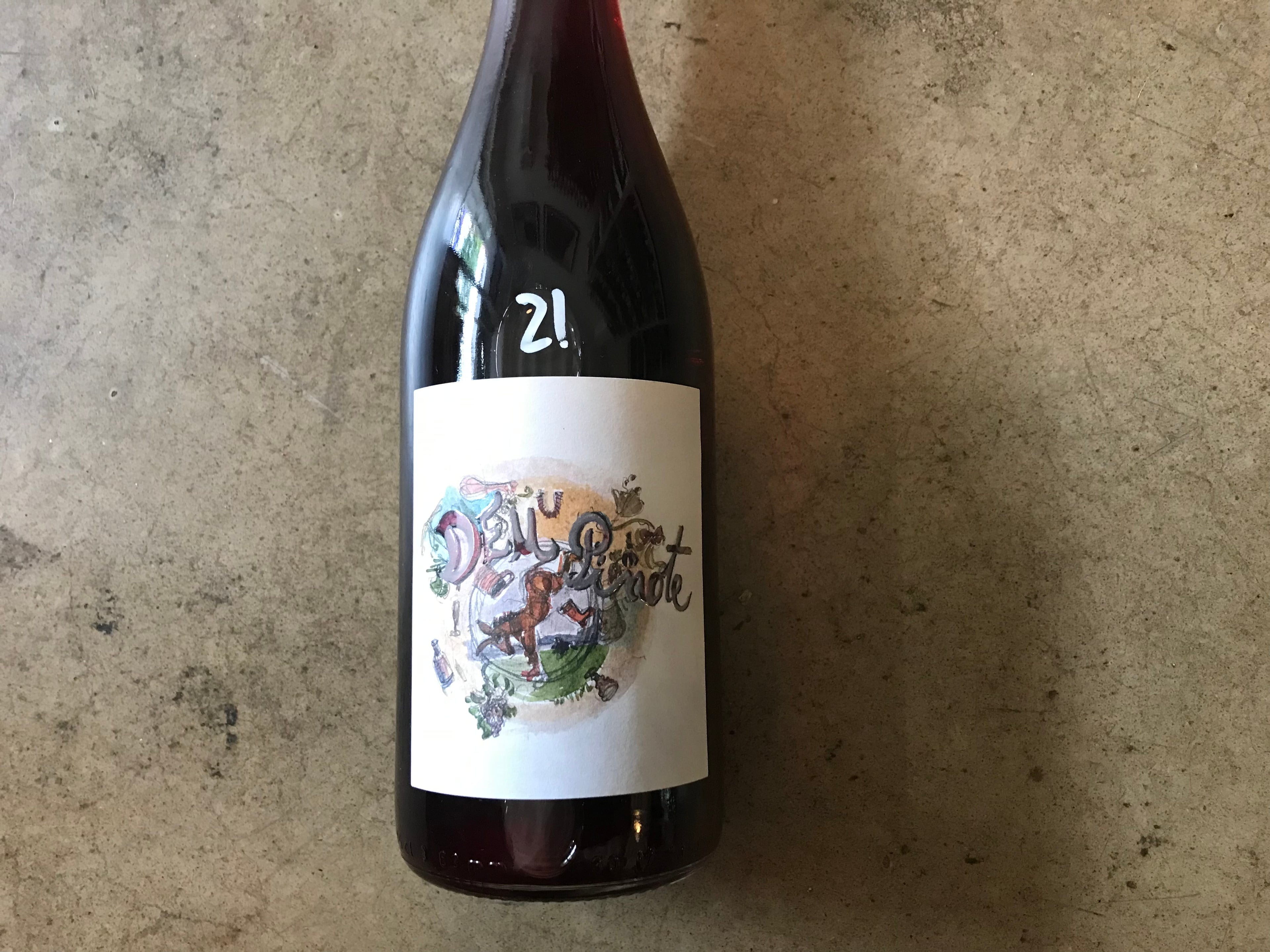 Bojo do Luar Vinho Tinto "Deu Pinote" 2020, 750mL